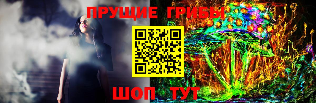 Галлюциногенные грибы GOLDEN TEACHER  Вход с VPN  Карабулак  Псилоцибиновые грибы ЛСД 